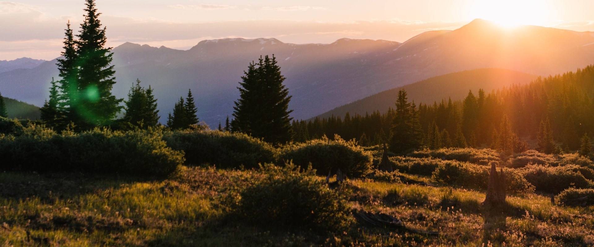 The Cost of Trauma Recovery Services in Colorado Springs: What You Need to Know