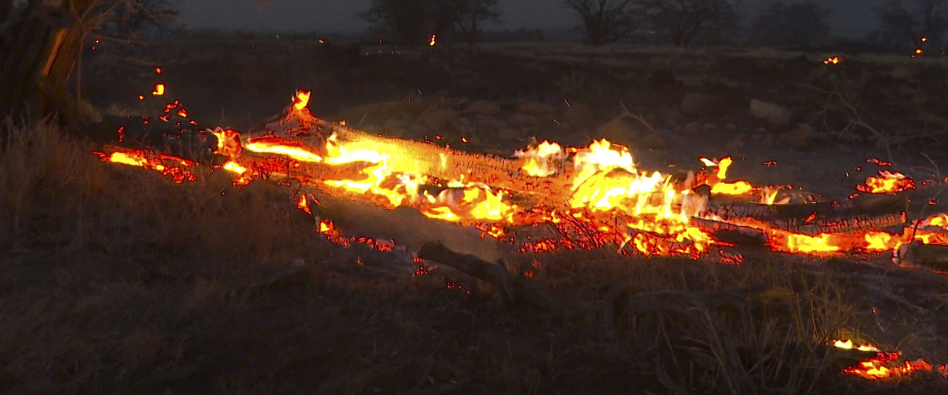 Healing After Trauma: Resources for Survivors of Natural Disasters in Colorado Springs