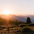 Healing Through The Mountains: Exploring The Steps Of Trauma Recovery In Colorado Springs