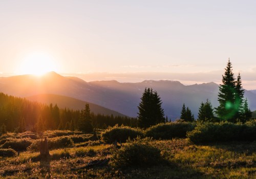 The Cost of Trauma Recovery Services in Colorado Springs: What You Need to Know